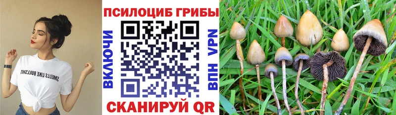 наркота  Саяногорск  ОМГ ОМГ маркетплейс  Псилоцибиновые грибы ЛСД 